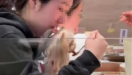 常州一家餐厅内食客用餐具喂狗,店方:中途发现后制止,餐具已报废处理