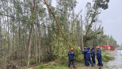 台风“蝴蝶”停编,登陆以来造成中国广西5人死亡、越南6人死亡