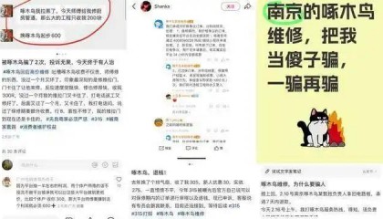 系统挤崩!啄木鸟维修遇退款潮 记者亲历:投诉3天没回应