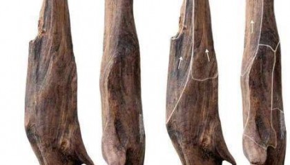 世界级重大考古成果！中国发现30万年前东亚最早木器