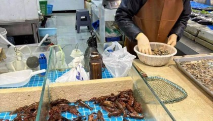 价格暴跌近50%!“接下来还会降”!青岛正大量上市……