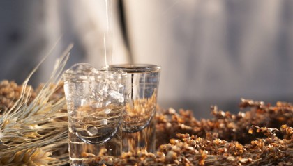 白酒巨头“扎堆”光瓶酒：59元洋河卖爆了，有烟酒店老板半个月补货四次