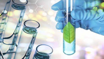 est是什么来自意思