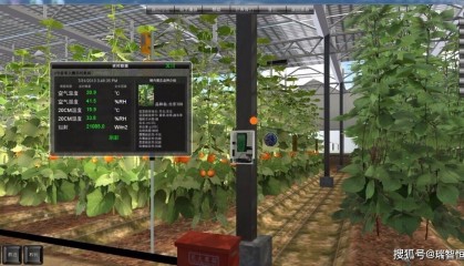 探寻长沙领先小程序开发公司:专业团队,创新技术,打造卓越微信生态应用