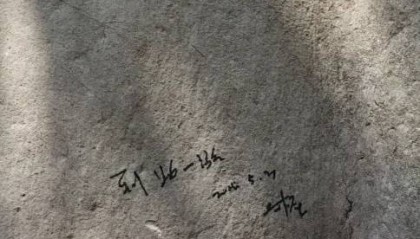 南京明孝陵石兽遭涂鸦“到此一游”,景区:已恢复原貌,警方在排查