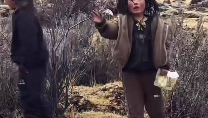 重庆男子在理塘旅游送当地小孩零食，反被赠三只藏獒，“他们把我当做很好的客人”