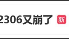 12306四天三崩!客服回应