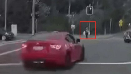 澳大利亚华人妇女和孙女等红绿灯时被撞!肇事者为18岁男子