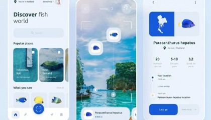 区块链钱包开发的技术难点