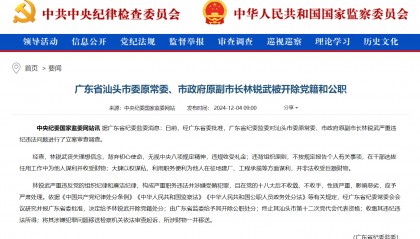 广东省汕头市委原常委、市政府原副市长林锐武被“双开”:大肆以权谋私