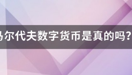 马尔代夫数字货币是真的吗?
