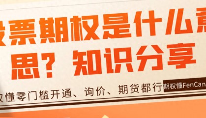 股票期权是什么意思?