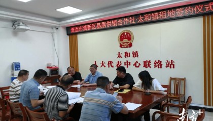 清新太和:又一项目签约,打造“千亩方”优质丝苗米产业基地