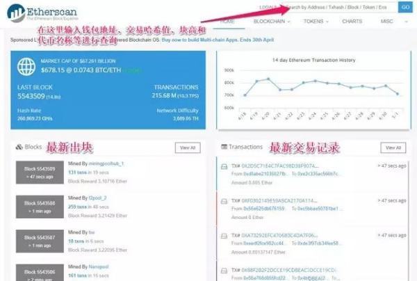 如何通过区块链资产地址（数字钱包地址）查看该地址的区块链资产（数字货币）？