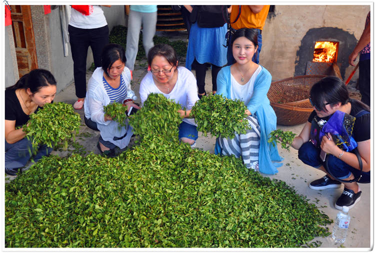 深圳哪里学茶艺比较正规?