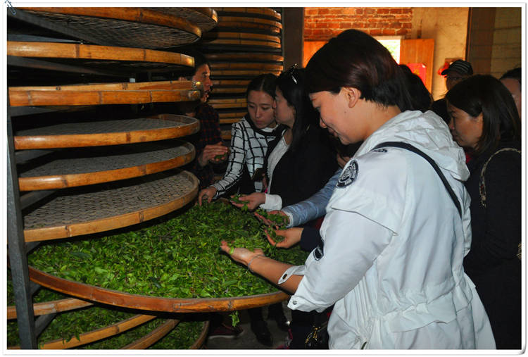 深圳哪里学茶艺比较正规?