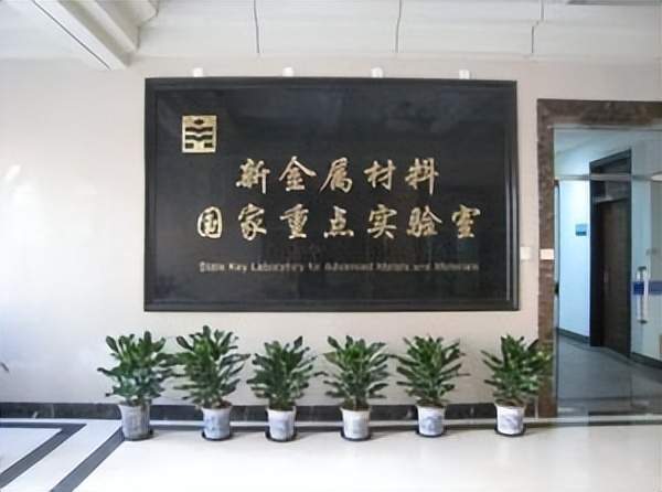 云南贵金属新材料集团(云南贵金属新材料集团招聘)