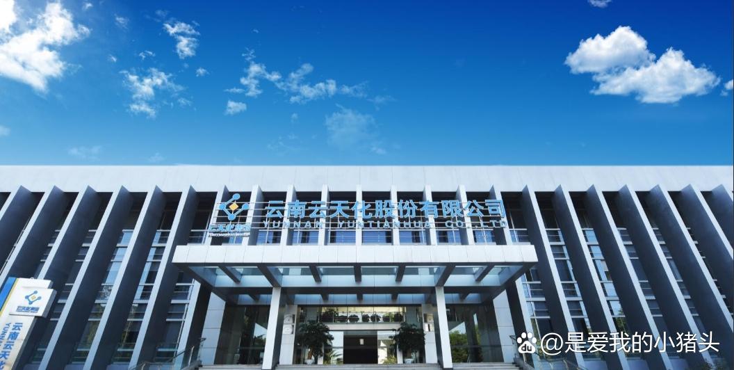 贵金属公司(香港lpm贵金属公司) 贵金属公司(香港lpm贵金属公司)