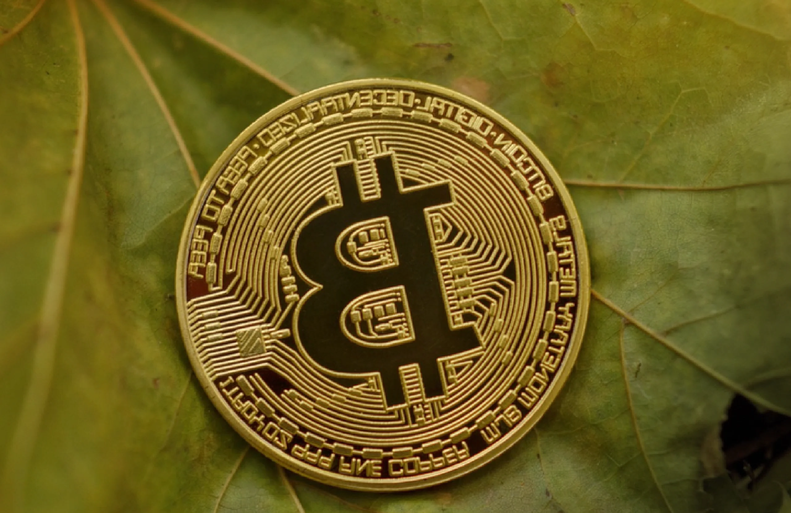 比特币换算(比特币换算器)